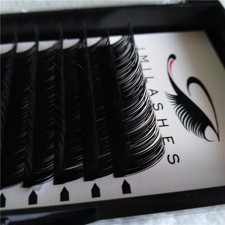eyelash extension trays.jpg